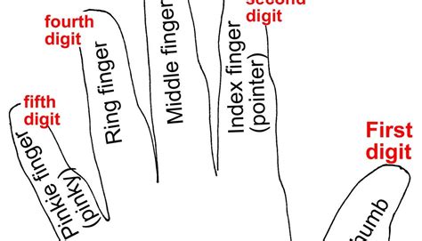 digits numbers fingers.